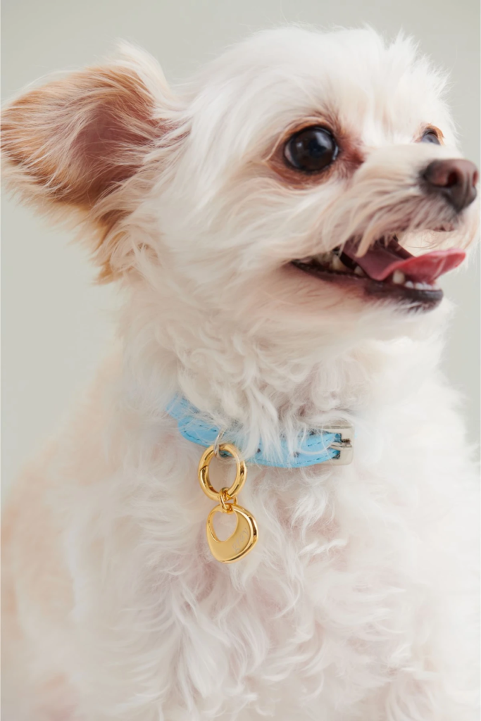 犬友達にプレゼントしたい♡犬モチーフプレゼント10選 doggymag