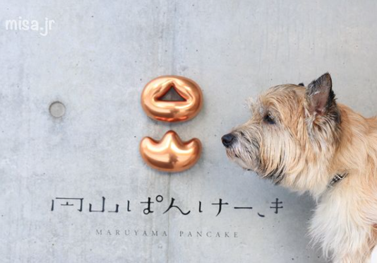ドッグフレンドリーな北海道 札幌市のペット同伴okなおすすめカフェ7選 Doggymag