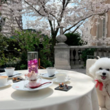 愛犬と大切な人との記念日に❤東京都内でペットOKな高級レストラン6選